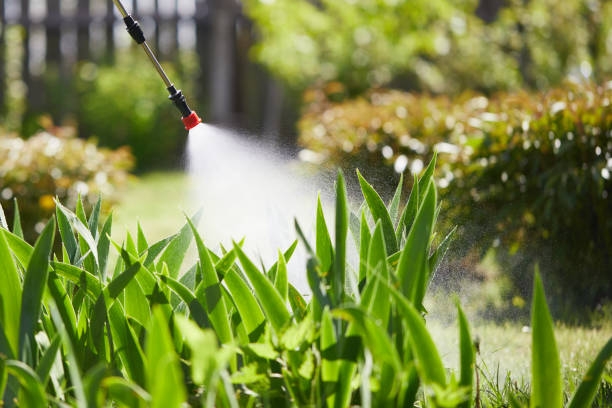 24/7 Emergency Mosquito Control experts in Redway, CA